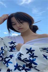 官场：平步青云连载