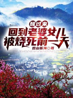 官场：从基层重生逆袭崛起番外+无删减