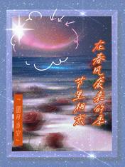 林轩夏清影小说