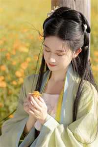 毒舌知府俏厨娘质量好文