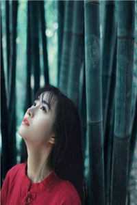 被提拔后，我走上仕途巅峰全文免费