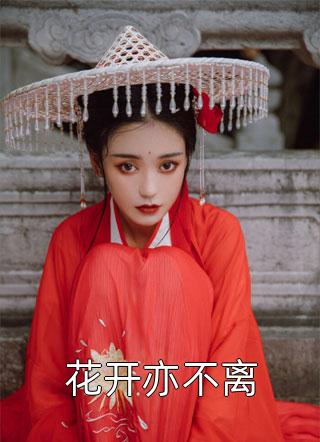 分手后，我在官场平步青云长篇小说阅读