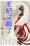 毒舌知府俏厨娘无删版