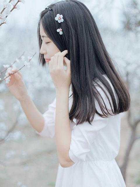 官运：青云之路前言+后续