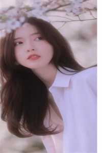 神霄剑修哥这苟王手握七剑成最强(林枫苏慕白)畅销小说推荐