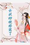 高质量小说阅读求解？我拒绝大理寺卿提亲没事吧