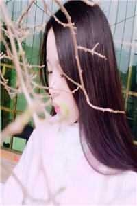 春心乱全集阅读