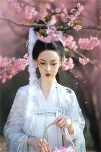 顾安南江意的小说不辞青山但辞君阅读